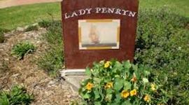 Timeline: marco polo