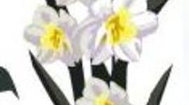 Timeline: Kevadlilled