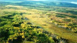 Timeline: Immigrant Project