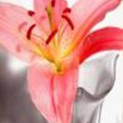 Timeline: my AWESOME timeline