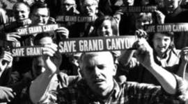 Timeline: Environmental Movement Timeline