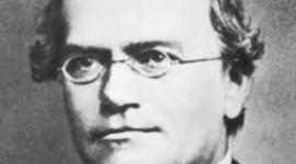 Timeline: History of Genetics