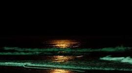 Timeline: AUTOBIOGRAFIA