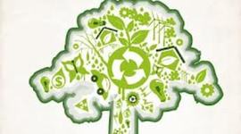 Timeline: Principales antecedentes internacionales y nacionales de la educación ambiental y el desarrollo sustentable (nivel internacional)