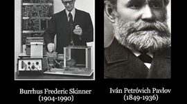 Timeline: Conductismo