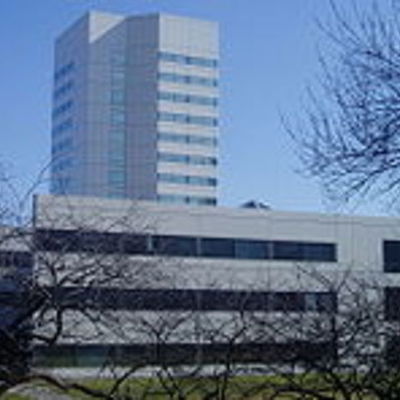 Timeline: Johnson & Johnson , excelencia directiva