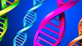 Timeline: Genetics Timeline