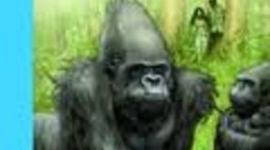 Timeline: jaz agulla y feli galindez y5a