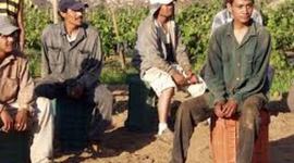 Timeline: Immigrant Project