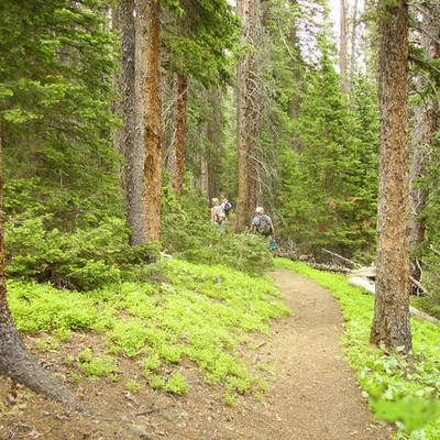 Timeline: NTLB Hike Log