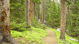 Timeline: NTLB Hike Log