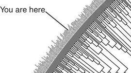 Timeline: The evolution of evolution