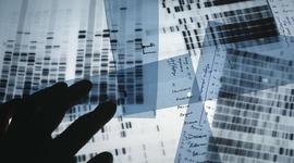 Timeline: Evolution of DNA Evidence