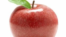 Timeline: SPENCERCTE - end of semester activities