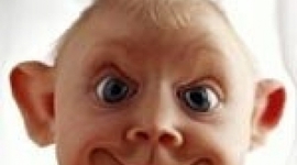 Timeline: karen blixen