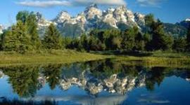 Timeline: Environmental History