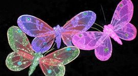 Timeline: BIOGRAFIA  DE MARIELA CASTRO