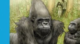 Timeline: S.O.S gorilas mia