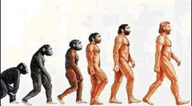 Timeline: evolucion del hombre