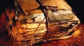 Timeline: P.Humanístico. Carta