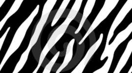 Timeline: World War II