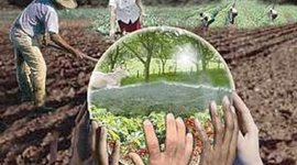 Timeline: Desarrollo Sustentable y Educación Ambiental