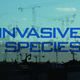 Invasive species 2 screen1