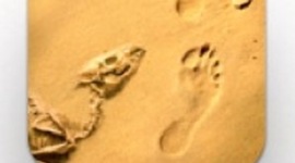 Timeline: Expand the World