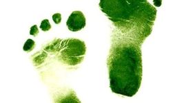 Timeline: Antecedentes del Desarrollo Sustentable y Educación Ambiental