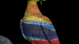 Timeline: Proceso de Paz