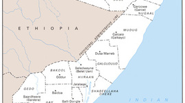 Timeline: Somalia (1992-1994)