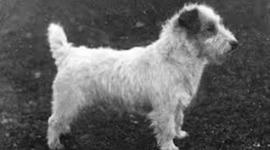 Timeline: The Life and Times of a Finnish Immigrant