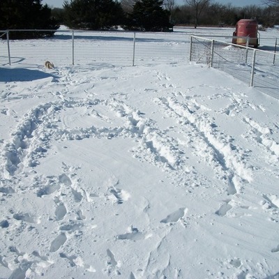 Timeline: ali stewarts life. :)