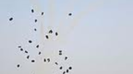 Timeline: Lebanon War 1982