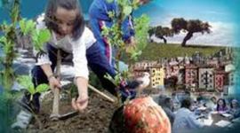 Timeline:  antecedentes  del desarrollo sustentable y la educación  ambiental.