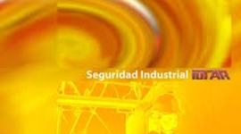 Timeline: SEGURIDAD INDUSTRIAL