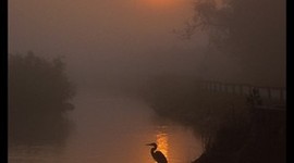 Timeline: Arte Moderno -Jessica Nuñez