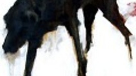 Timeline: (Katherine)_(G)_PSY315