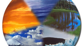 Timeline: MEDIO AMBIENTE