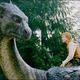 Eragon film picture 1