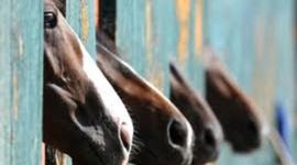 Timeline: Reading Log 2013