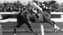 Timeline: Phar Lap Biography