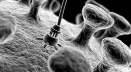 Timeline: CMC Polímeros, Nanotecnología, Biomateriales y Materiales Nocivos