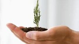 Timeline: EMPRENDIMIENTO