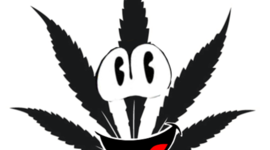 Timeline: History of The War On Drugs