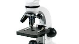 Timeline: The Microscope