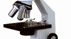 Timeline: The History Of The Microscope