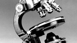 Timeline: microscopes