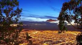 Timeline: Ecuador natural resources