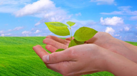 Timeline: Principales Antecedentes Internacionales y Nacionales de la Educación Ambiental y el Desarrollo Sustentable